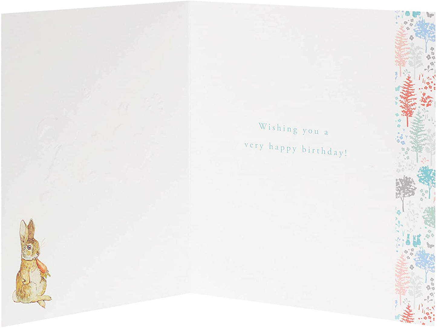 Peter Rabbit Special Wishes Kids Birthday Card
