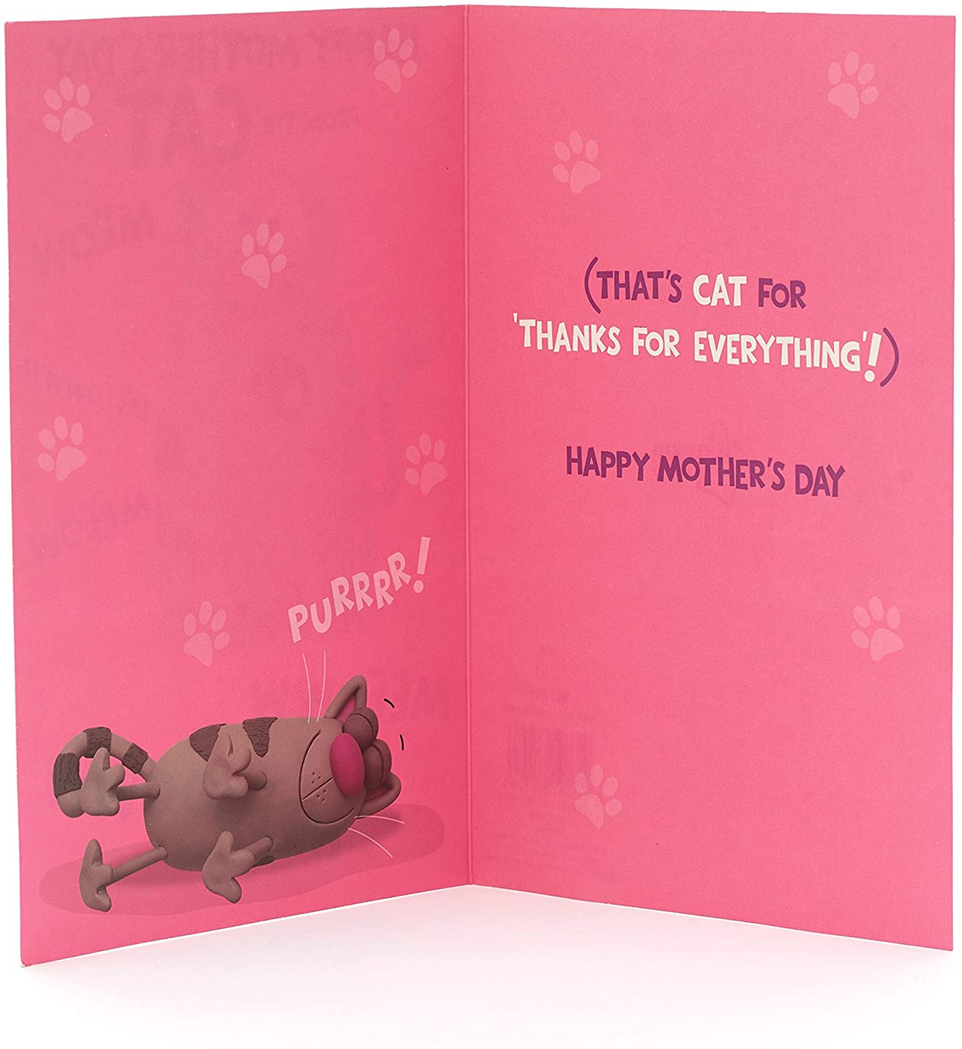 Happy Mother's Day From The CAT, Greeting Card