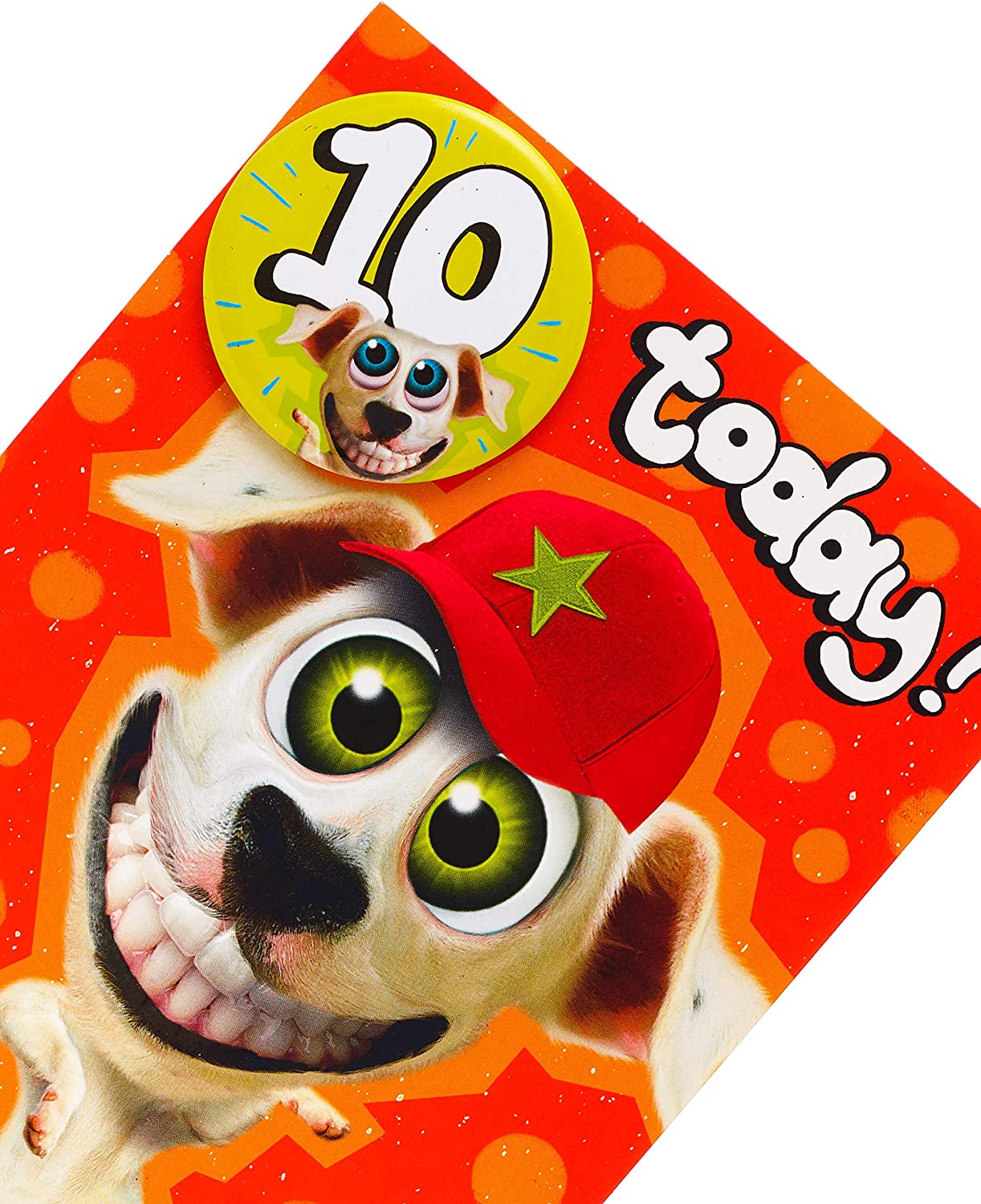Wacky Dog Design 10th Birthday Card Badge Included