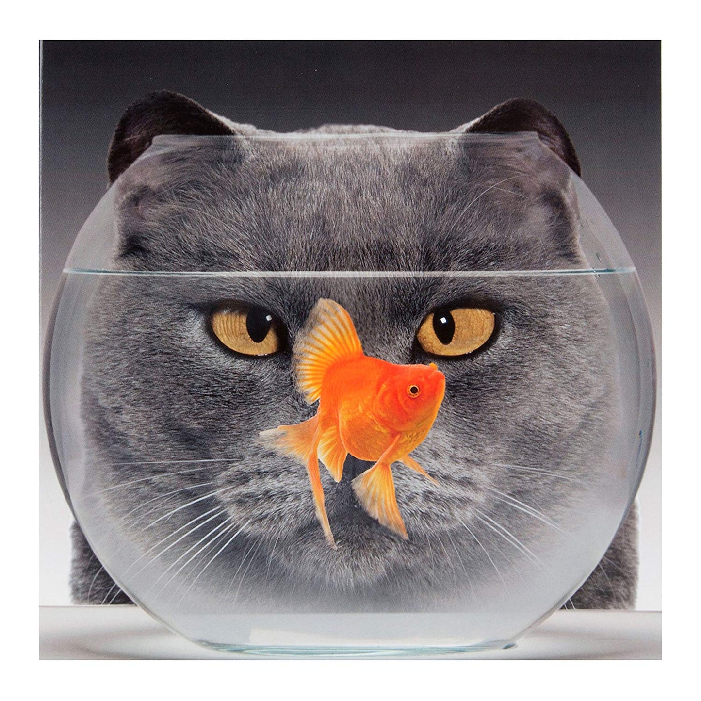 Blank Card "Cat and Fish" Design