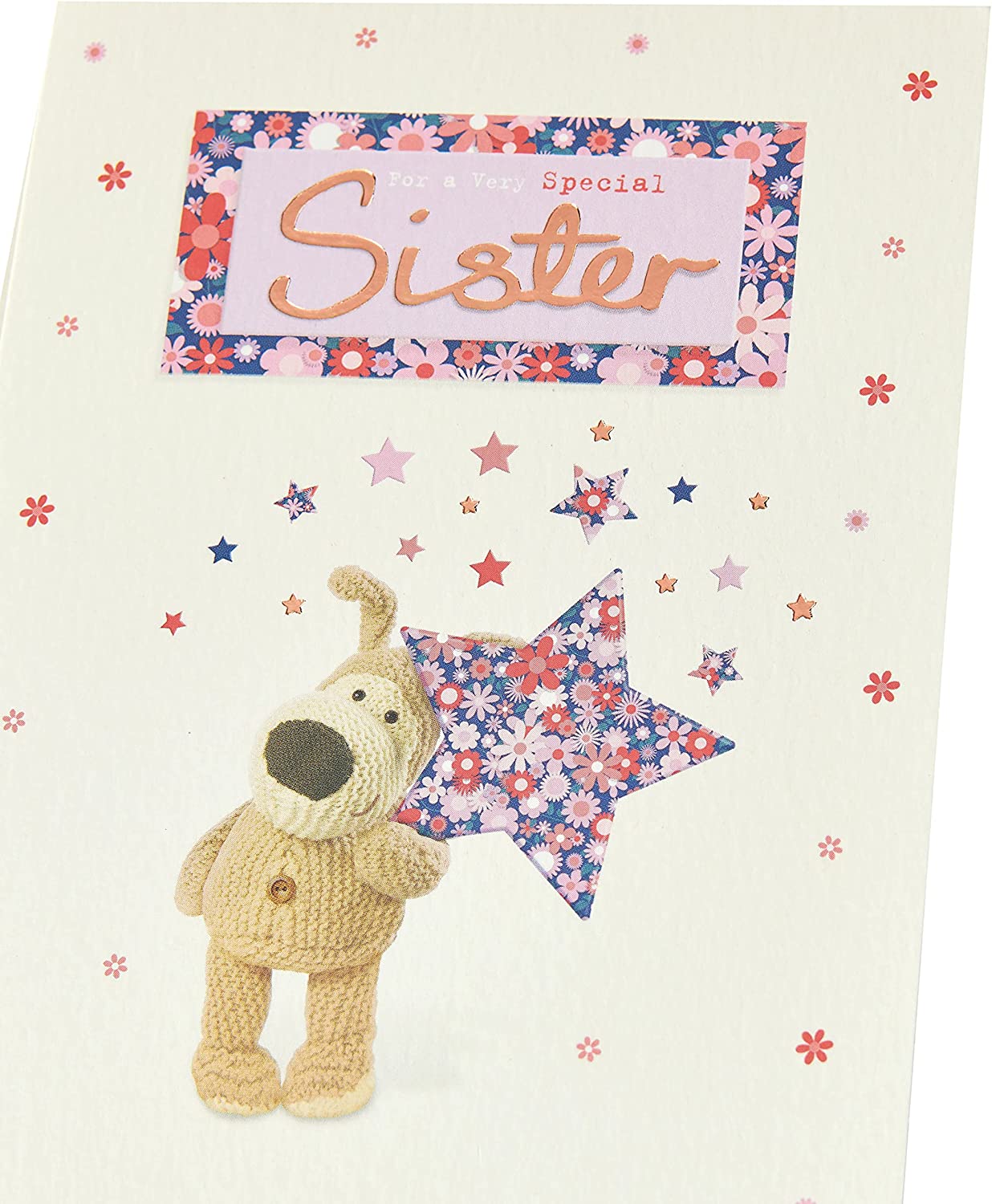 Boofle Lovely Design Holding A Big Star Sister Birthday Card