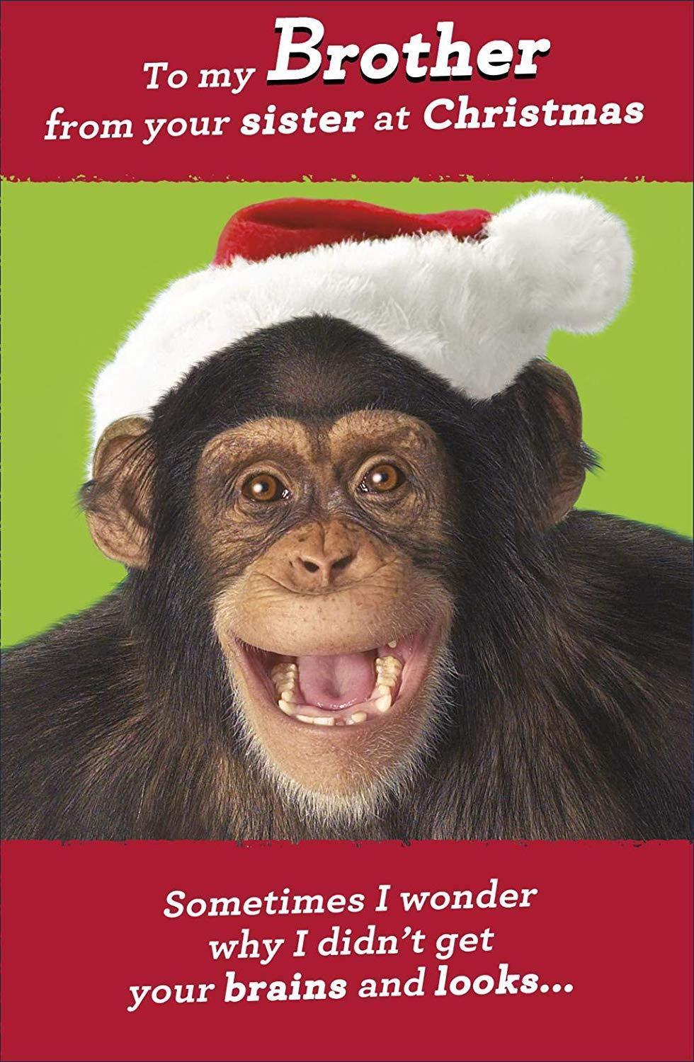 To My Brother from Your Sister at Christmas Funny Card