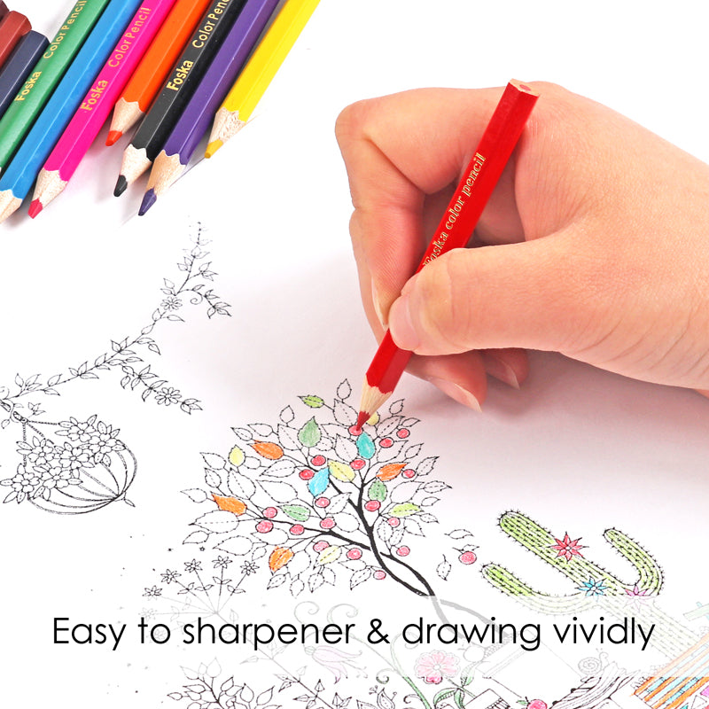 Pack of 72 Half Colouring Pencils