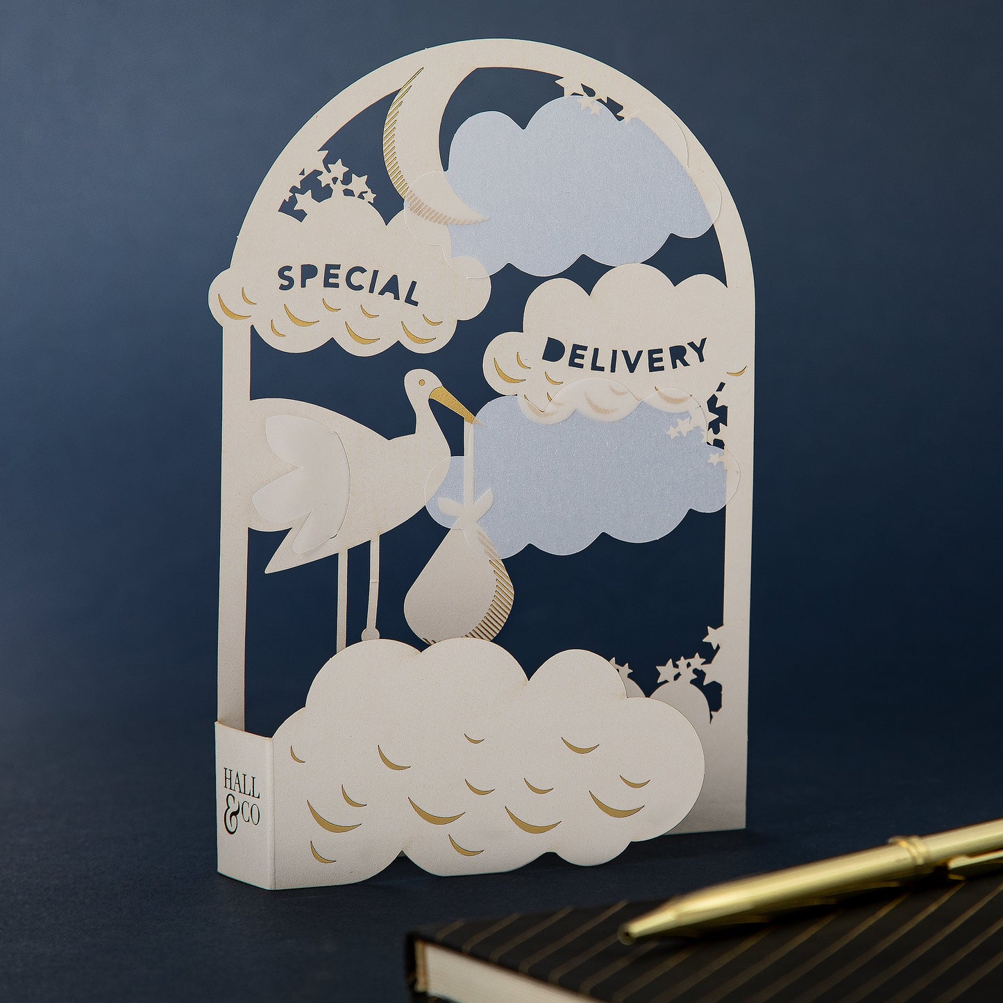 Premium 3D 'Special Delivery' New Baby Card Paper Fables