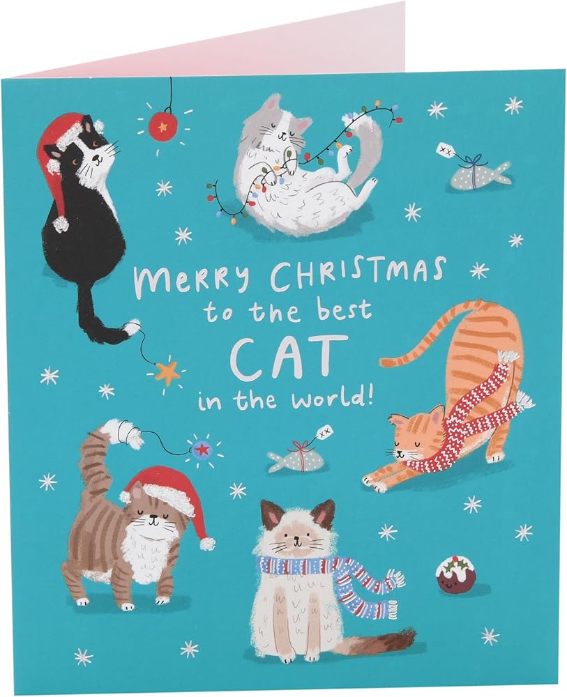 Best Cat In The World Christmas Card