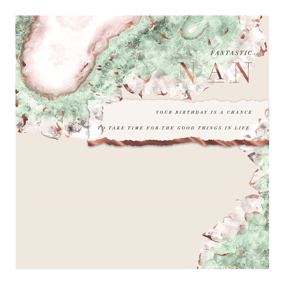Fantastic Nan Birthday Card Classic Design