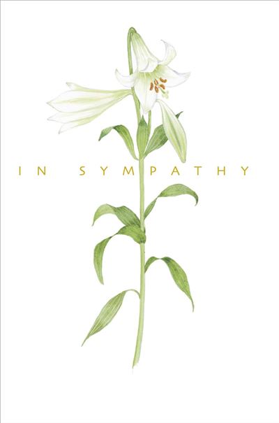 Sympathy Card Sorry for your Loss Card Condolences