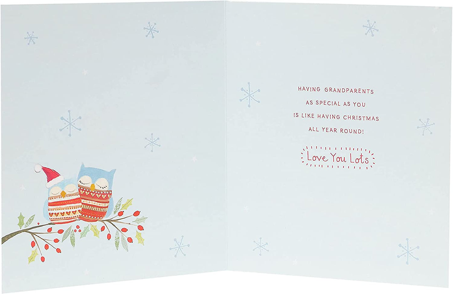 Grandma and Grandad Christmas Card Owls Design