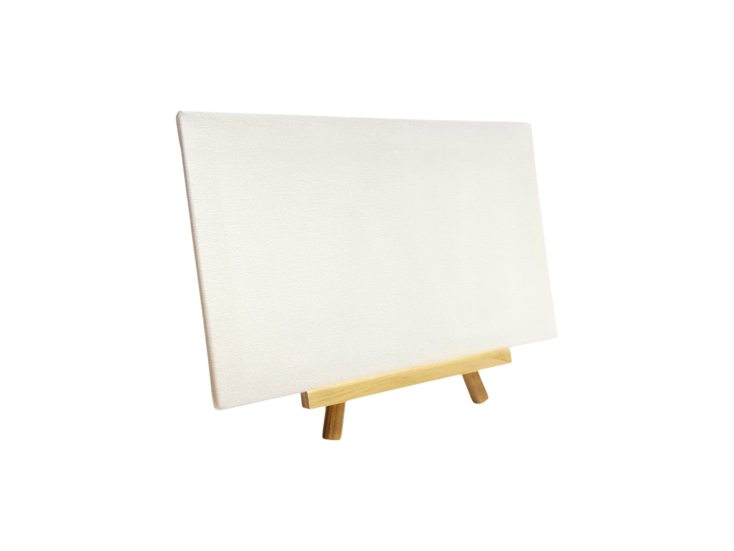 Pack of 12 20x30cm Canvas Easel Set