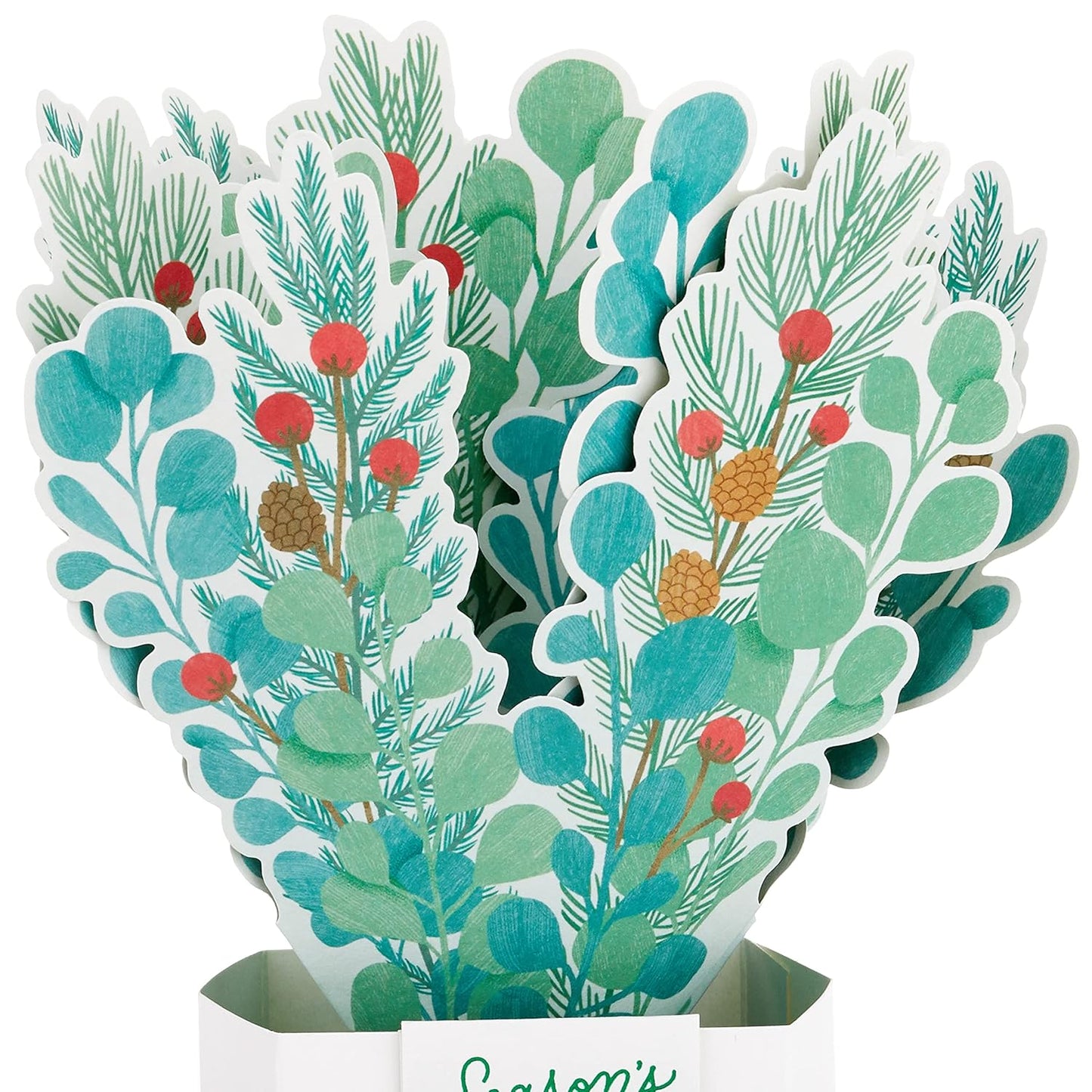 Paper Wonder Plant Season's Greetings Christmas Card