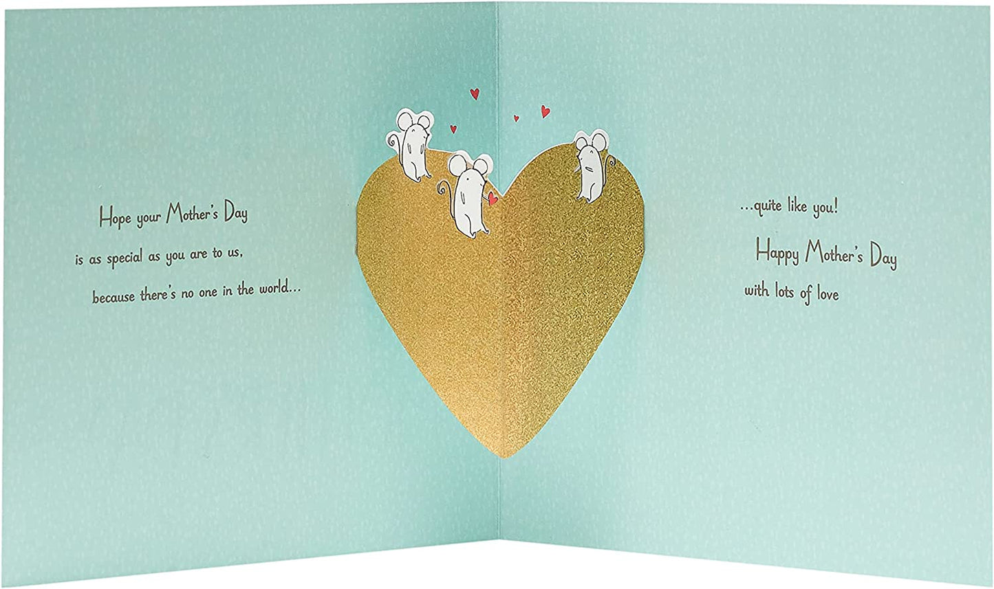 From The Grandchildren Cute Mice Design Mother's Day Card