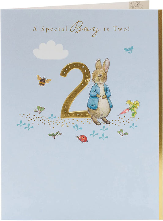 Peter Rabbit Age 2 Boy Birthday Card
