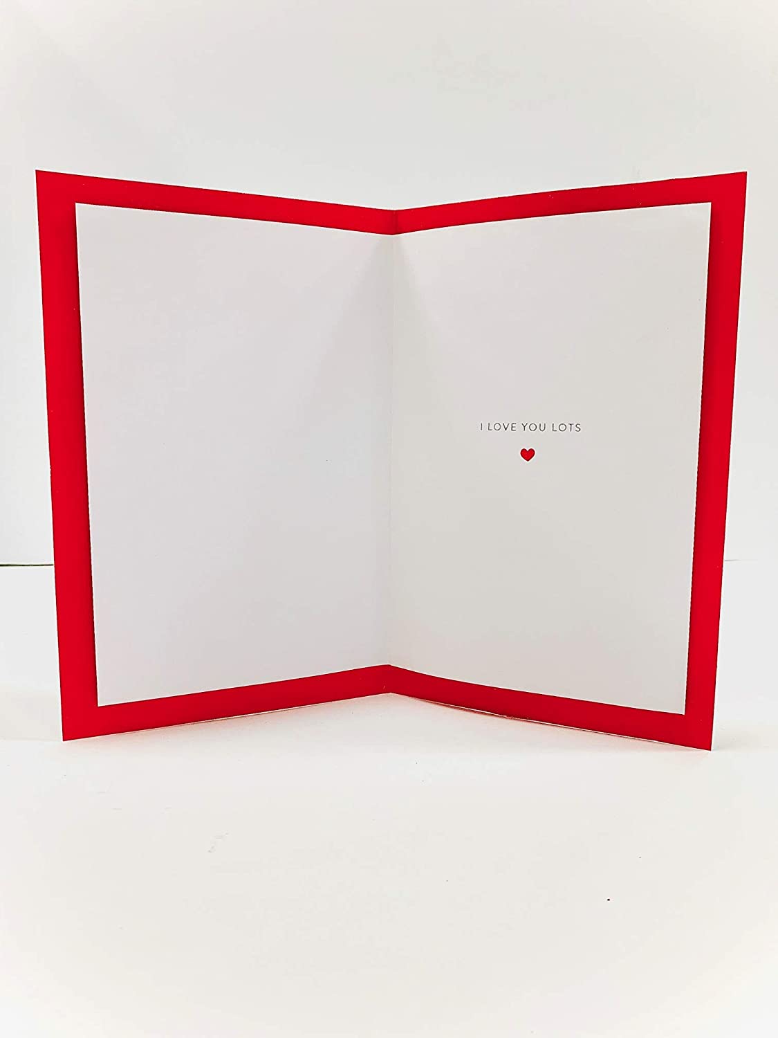 For My Husband Cute Puppies Design Christmas Card 