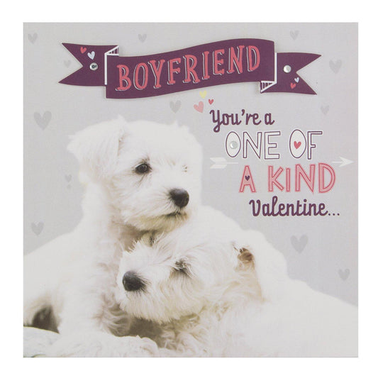 Hallmark Valentine's Day Card For Boyfriend 'One Of A Kind'