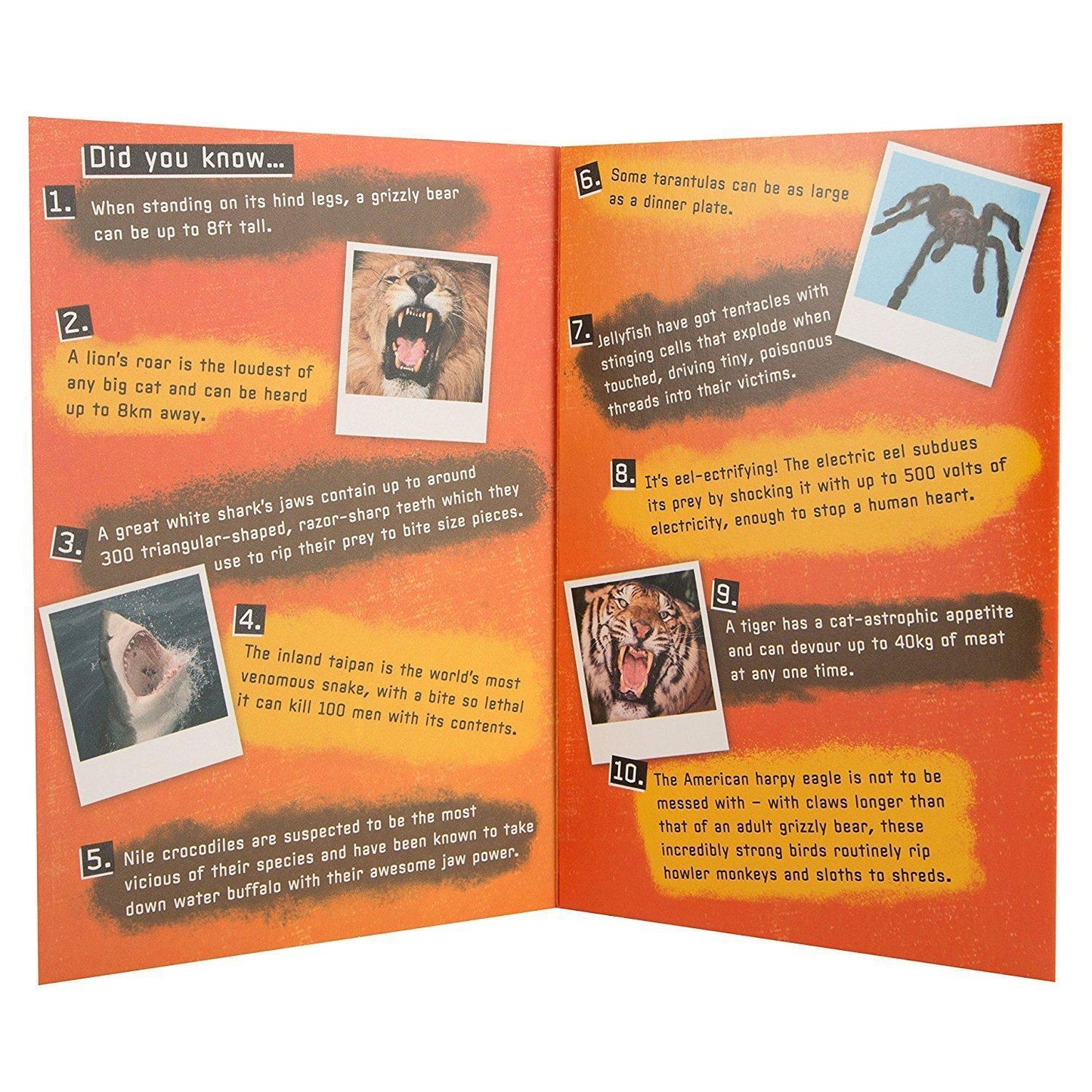 Animal Planet Happy Birthday Card 