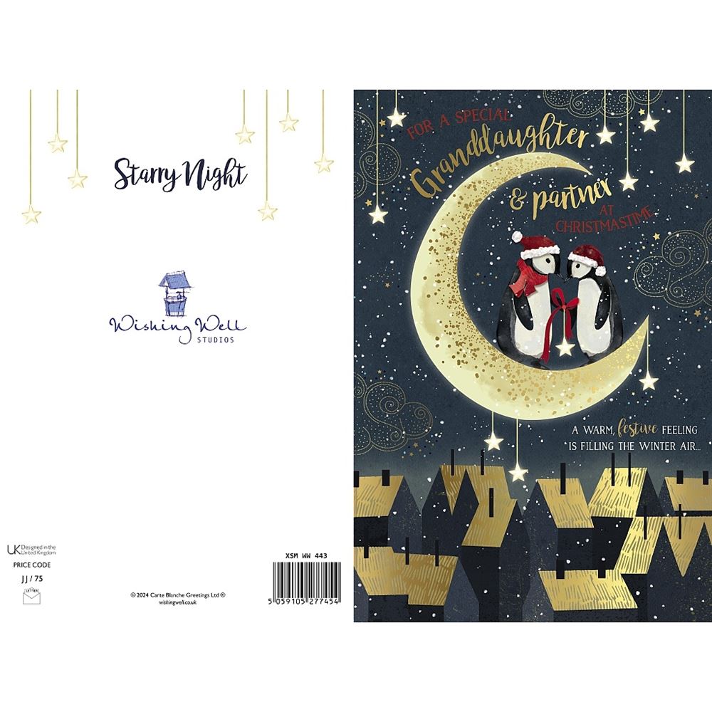 Penguins Stood on Moon Granddaughter & Partner Christmas Card