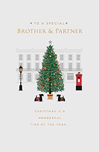 Special Couple Like You Brother And Partner Christmas Card 