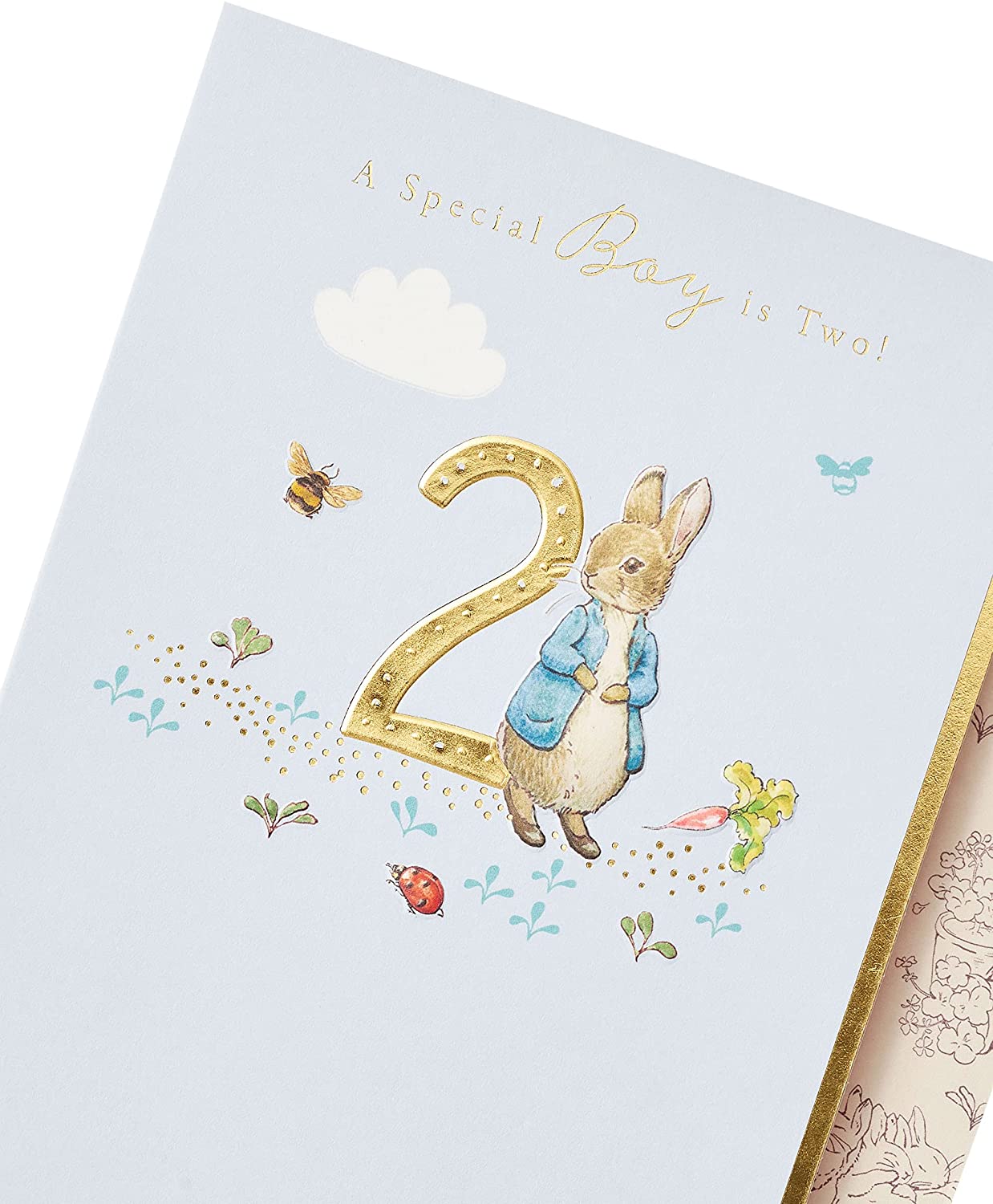 Peter Rabbit Age 2 Boy Birthday Card
