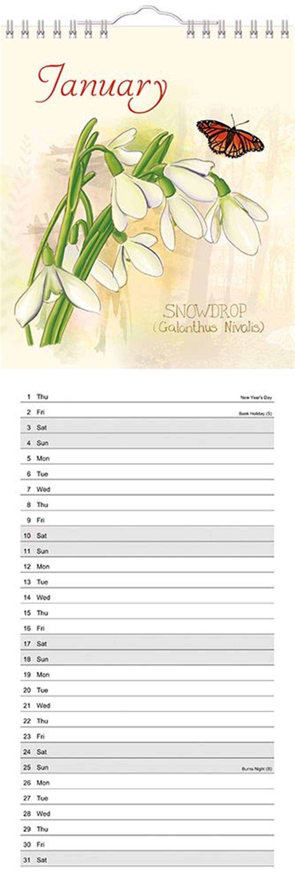 Slim Month To View Calendar 2026 – Botanical Flowers – 143mm x 417mm