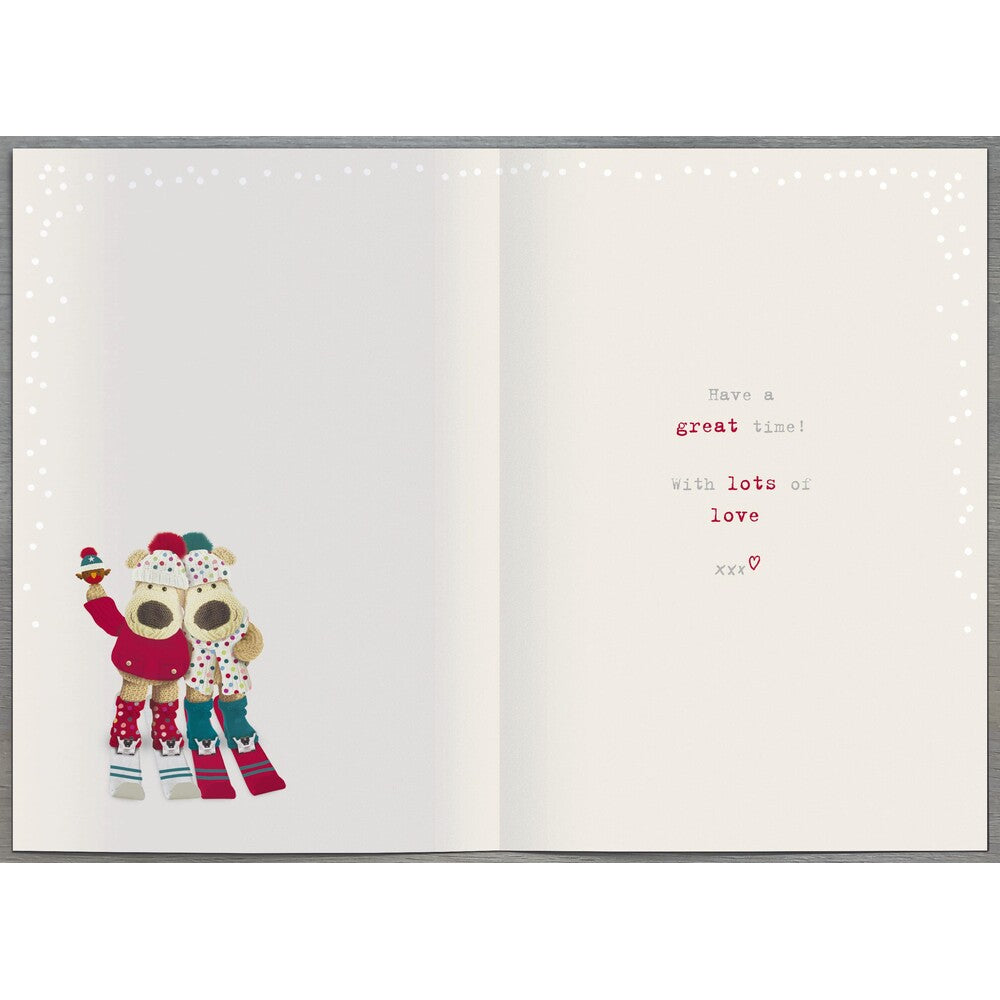Boofles Sat On Swing Brother and His Girlfriend Christmas Card