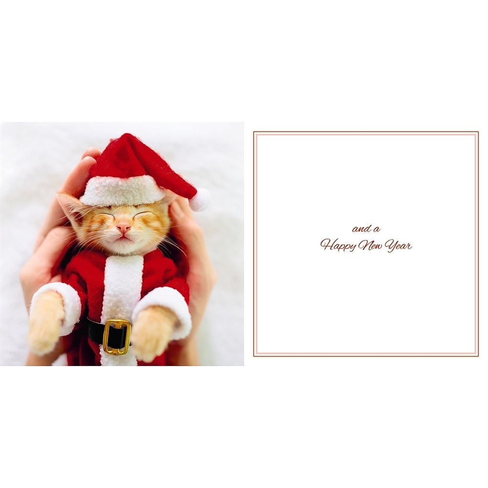 Cat In Santa Outfit Photographic 3D Lenticular Merry Christmas Card with Detachable Keepsake