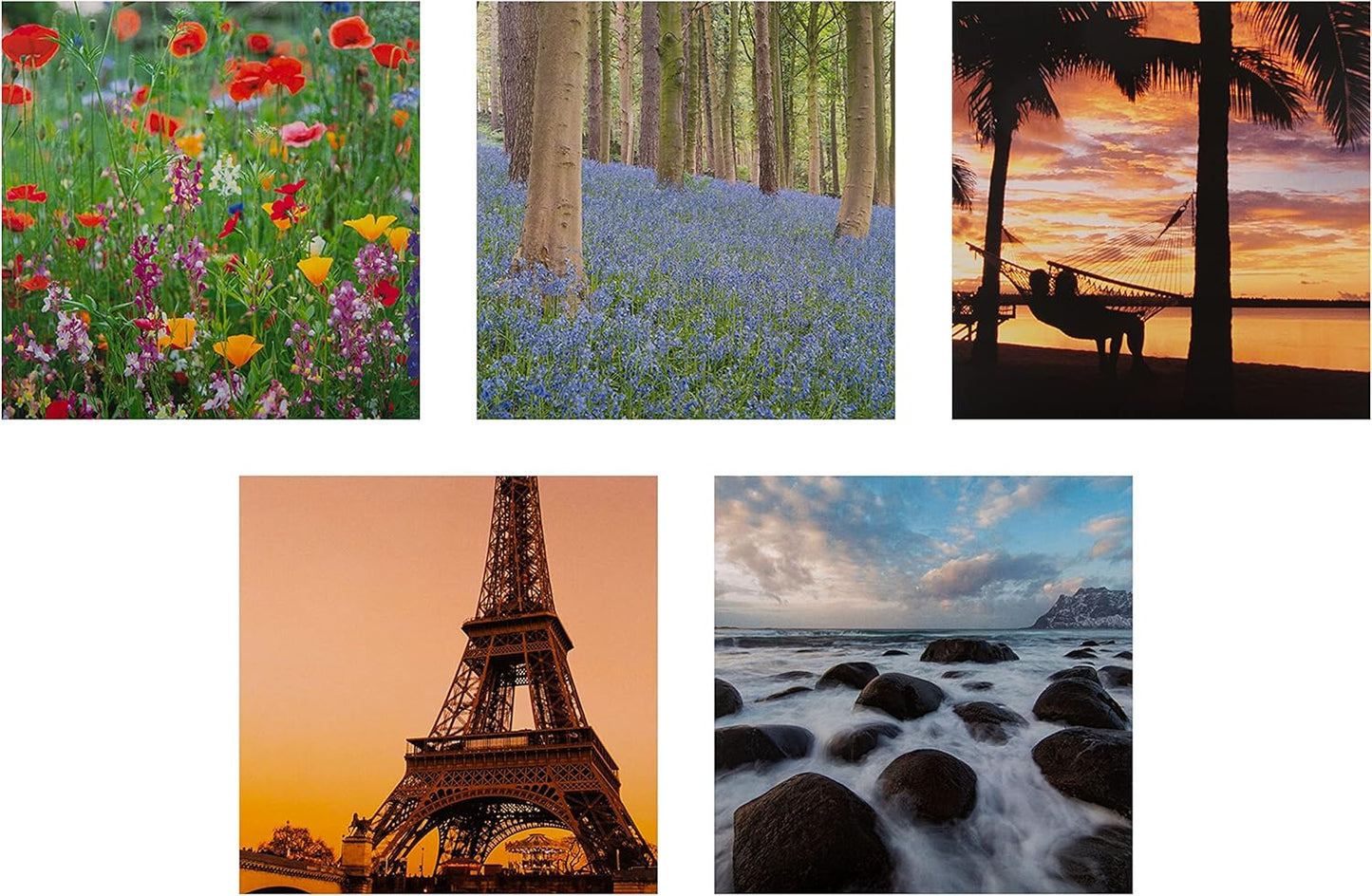 Scenic Photographic Multipack of 20 in 20 Designs Gallery Blank Cards