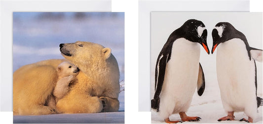 National Geographic Pack of 16 in 2 Designs Christmas Cards