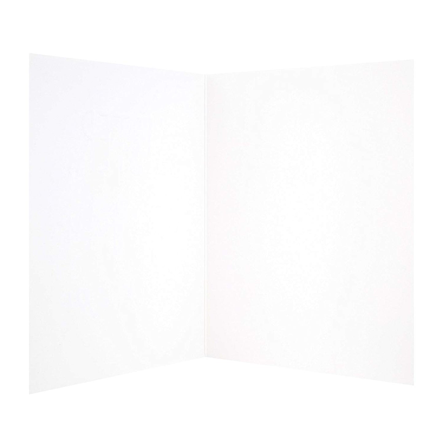 Hallmark Sister Birthday Studio Card "Blank"
