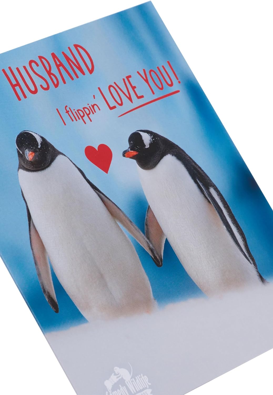 Cute Penguin Design Husband Valentine's Day Card