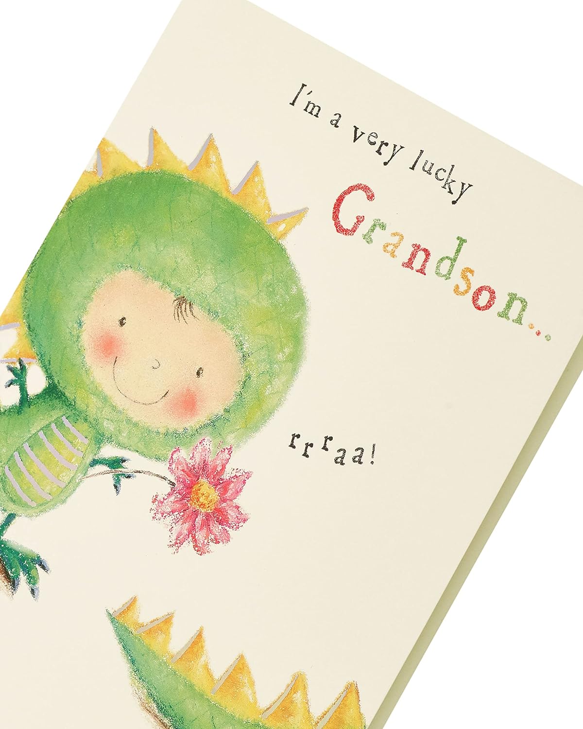 Sweet Dinosaur Design Mother's Day Card From Grandson