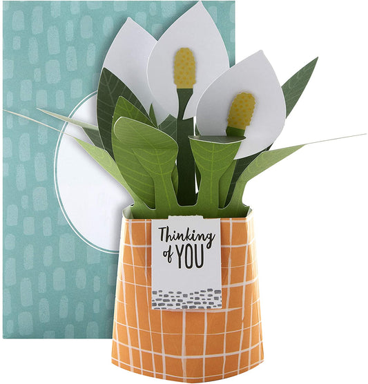Contemporary Peace Lily Plant Design Pop Up Card