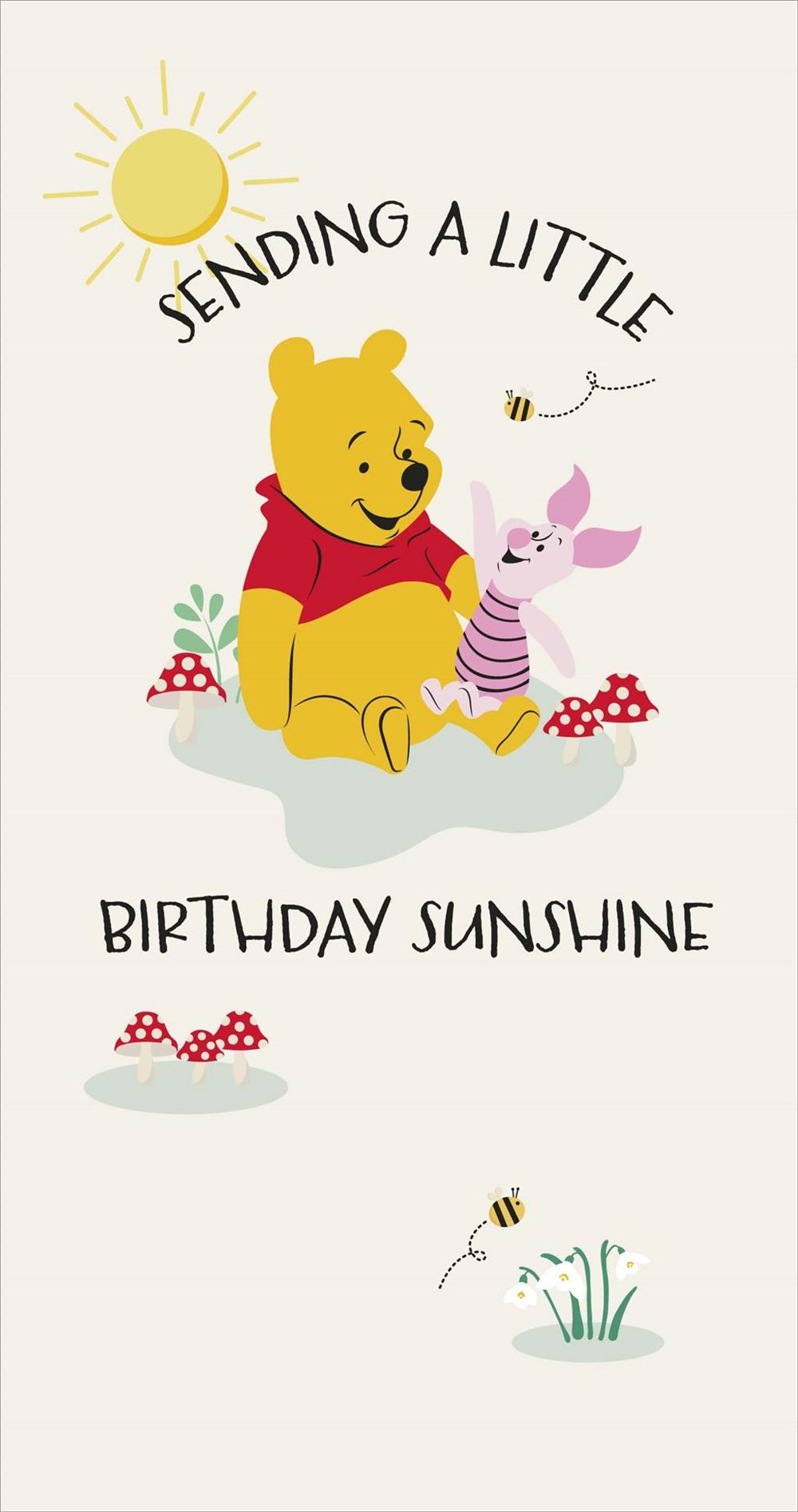 Disney Winnie the Pooh Little Sunshine Birthday Card