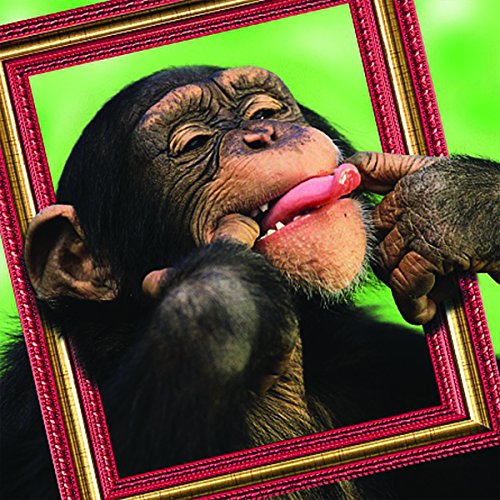 Carte Blanche 3D Holographic Card Up Close Cheeky Chimp in Photo Frame