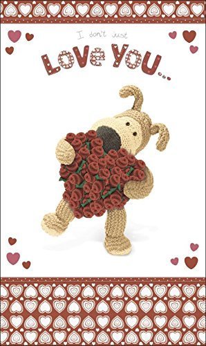 I dont't Just Love You I love This Much Valentine's Day Card