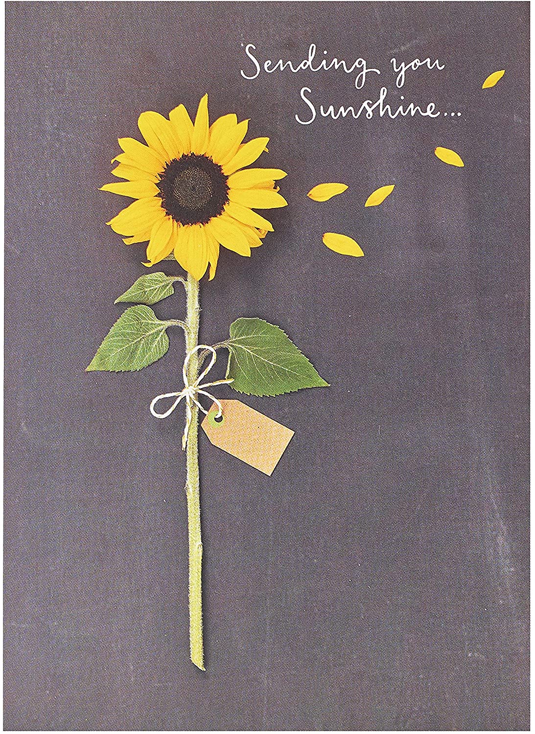 Sending You Sunshine Sunflower Design Greeting Card
