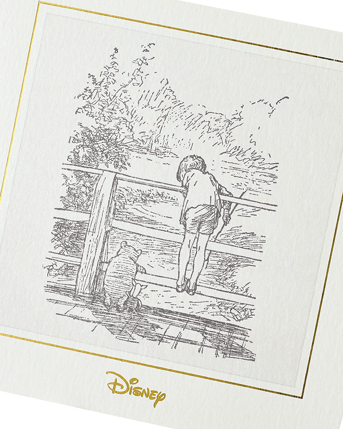 Winnie The Pooh Original Sketch Blank Birthday Card