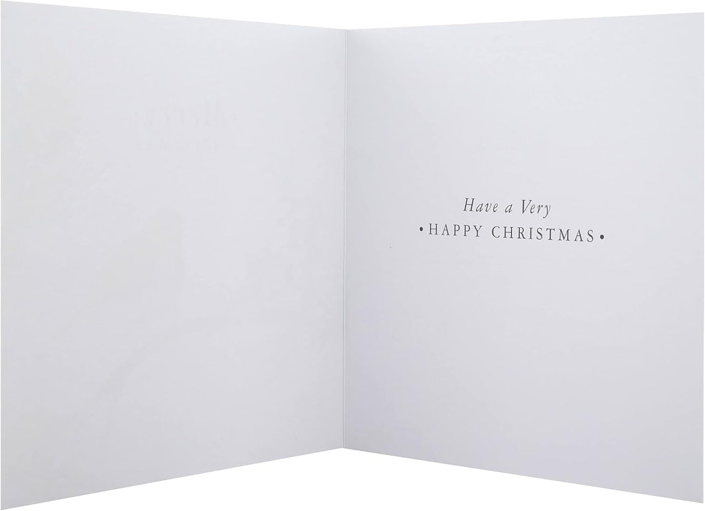 Robin 16 Pack 2 Designs Charity Christmas Cards