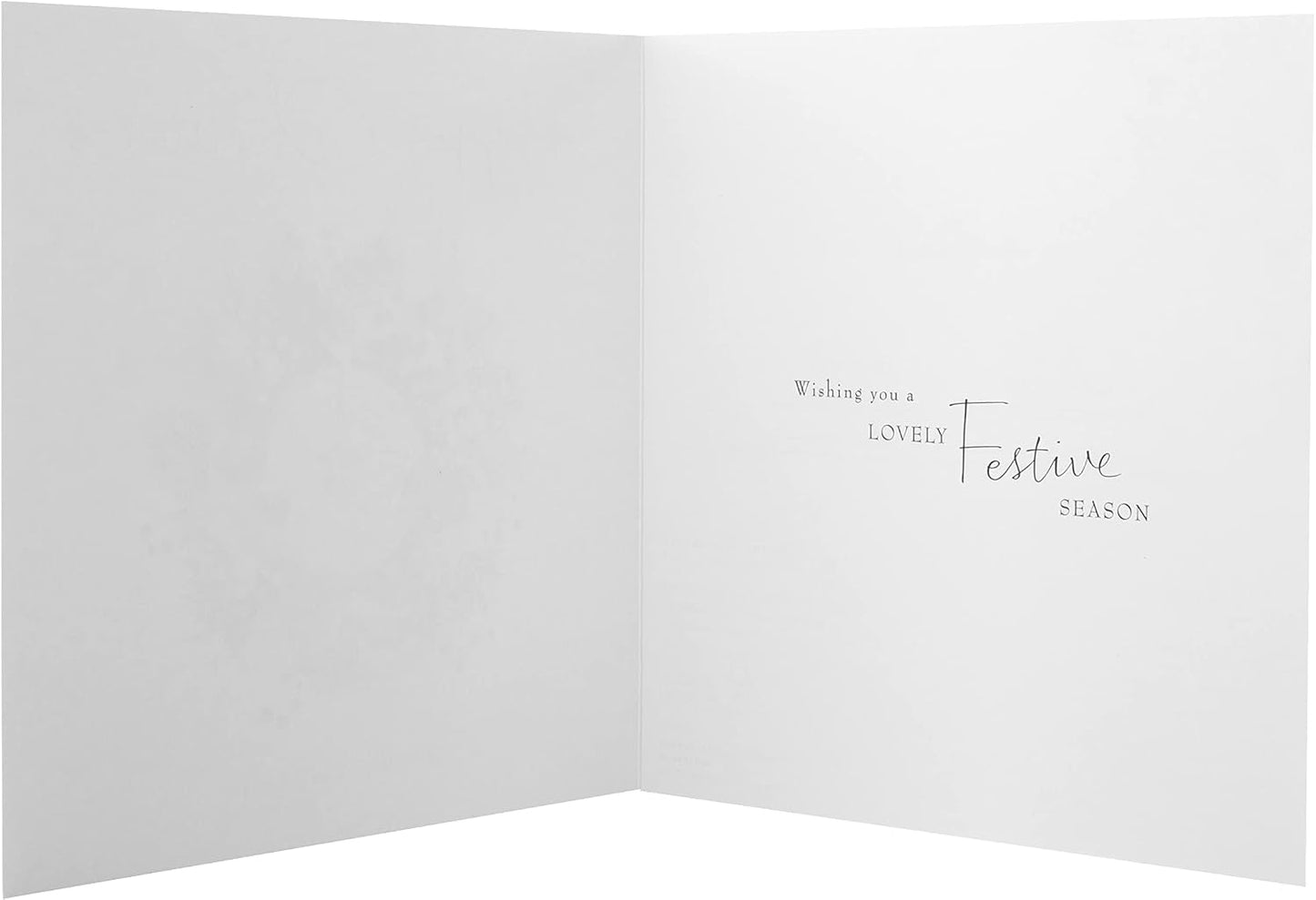 Lucy Cromwell 16 Pack 2 Designs Charity Christmas Cards