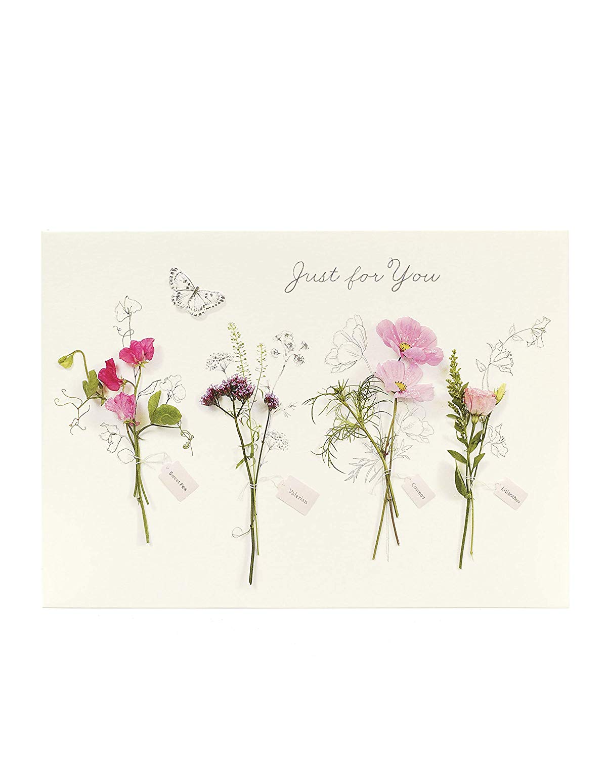 6 x Floral Birthday Cards Pretty 