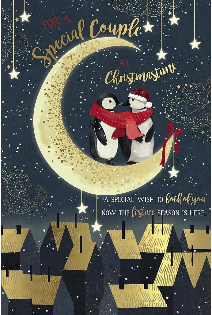 Penguins Stood on Moon Special Couple Christmas Card