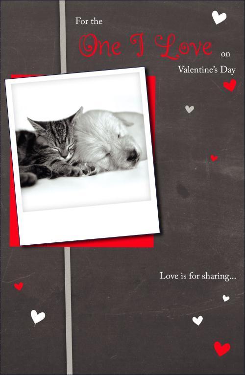For The One I love Cute Cat & Dog Design Valentine's Day Card
