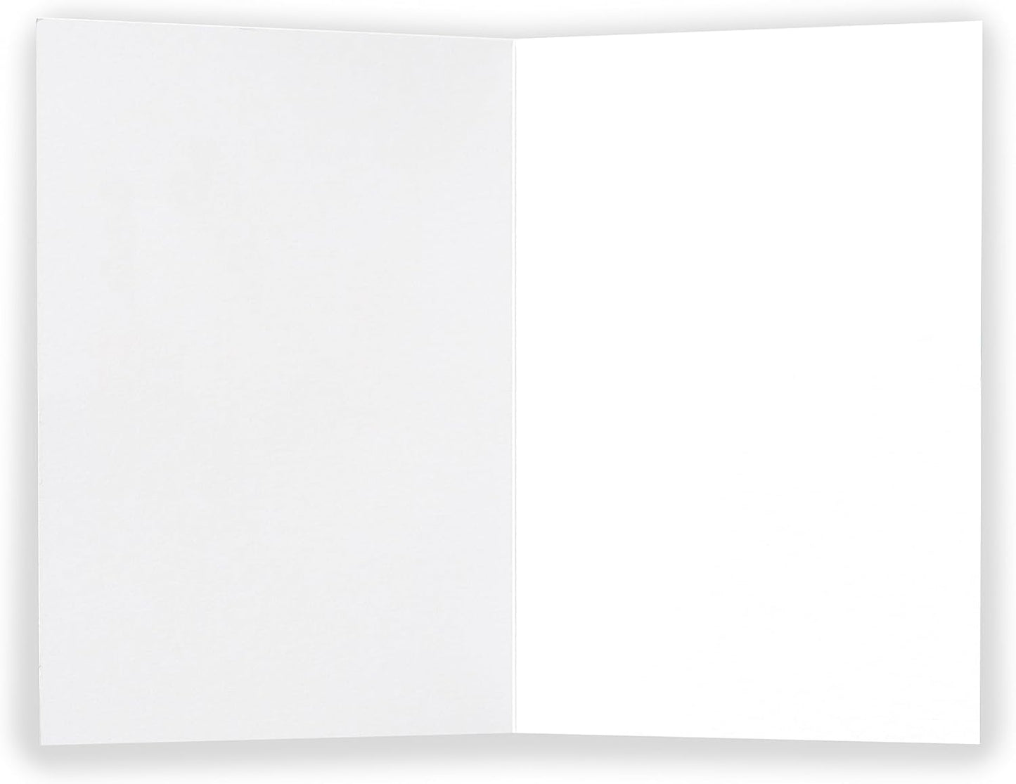 Kindred X David Olenick Special Delivery Baby Boy Blank Card