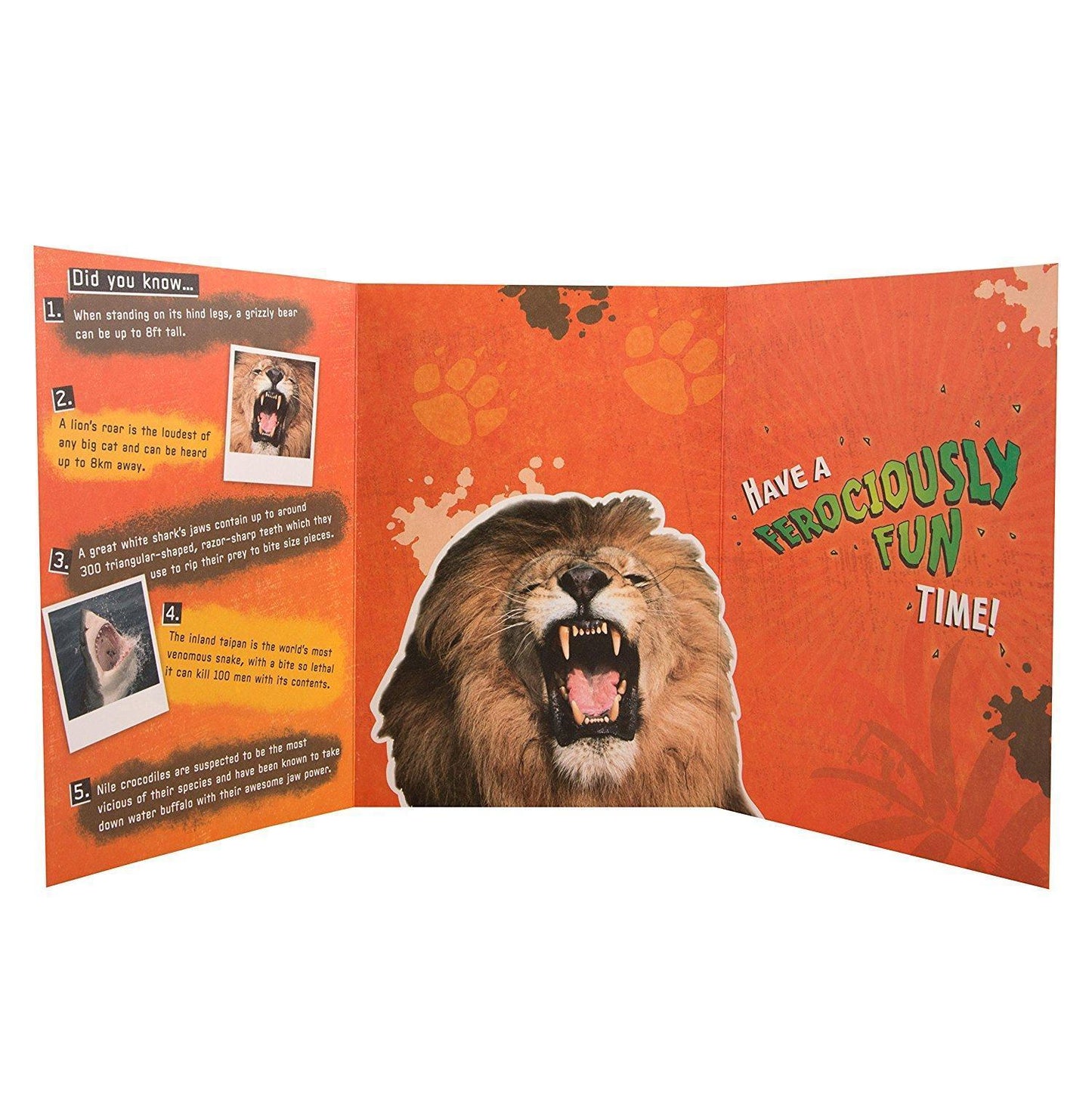 Animal Planet Happy Birthday Card 