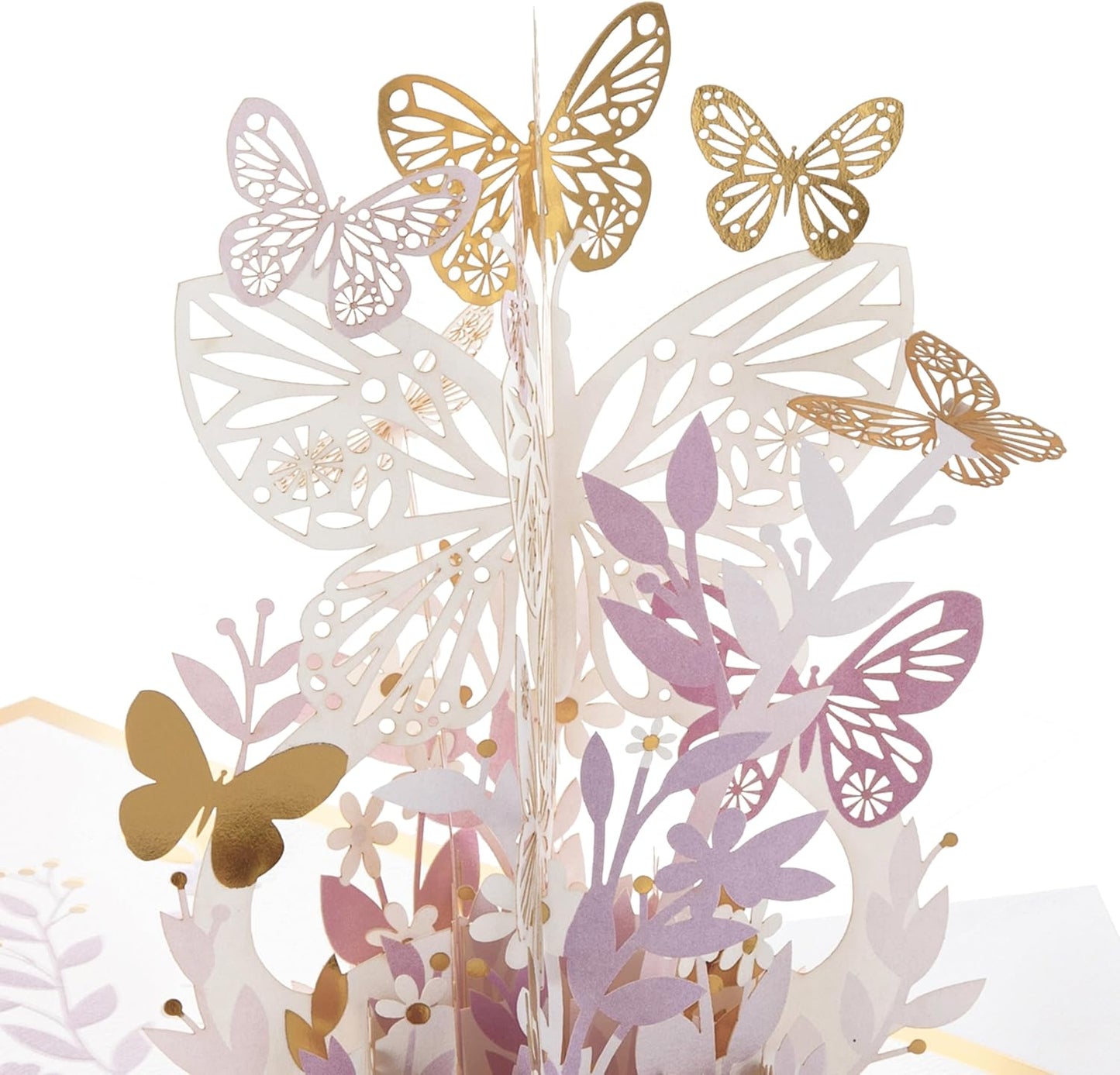 Paper Wonder 3D Pop Up Butterflies Birthday Card Signature Collection 