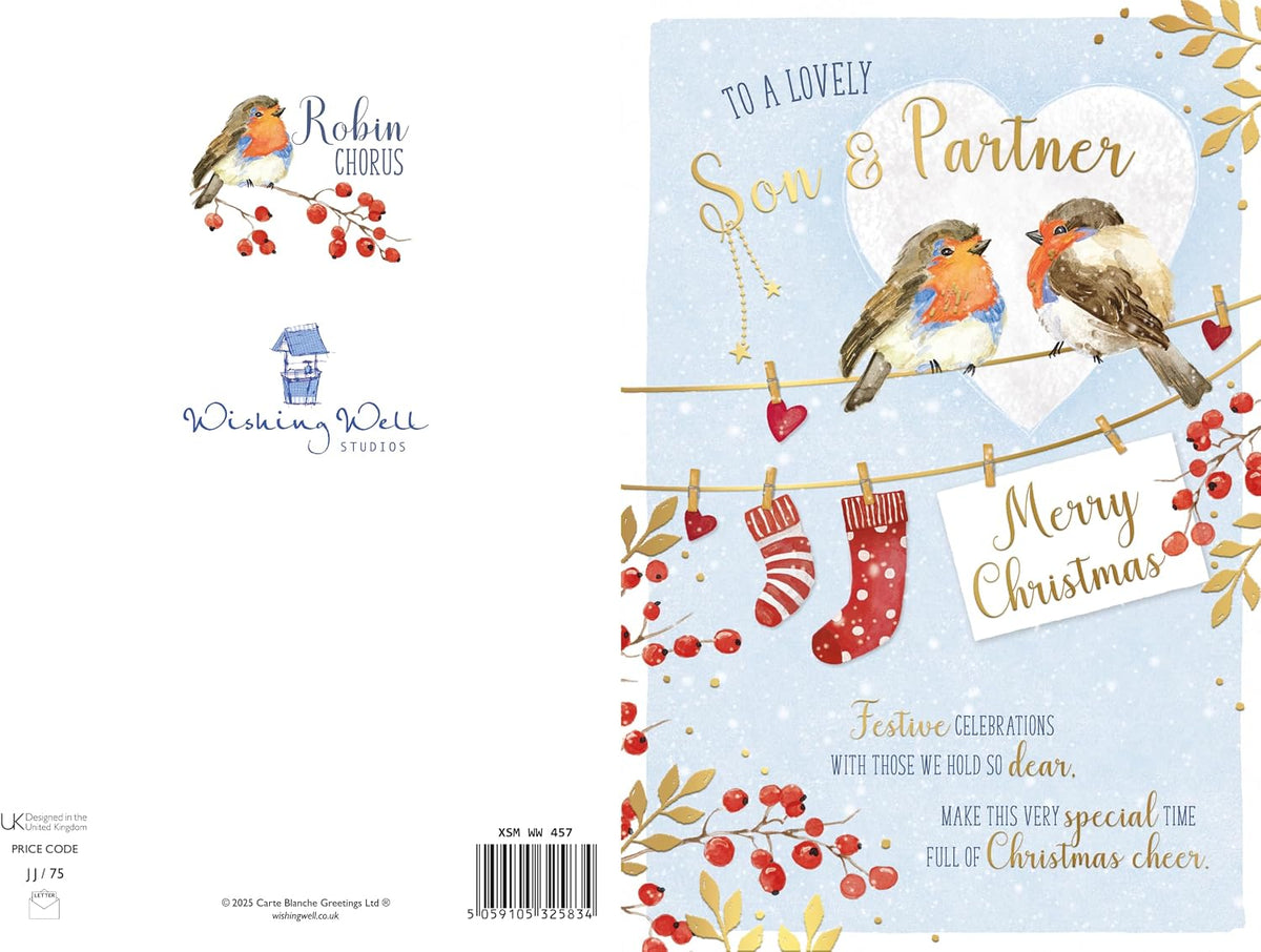 Robins On Washing Line Son And Partner Christmas Card