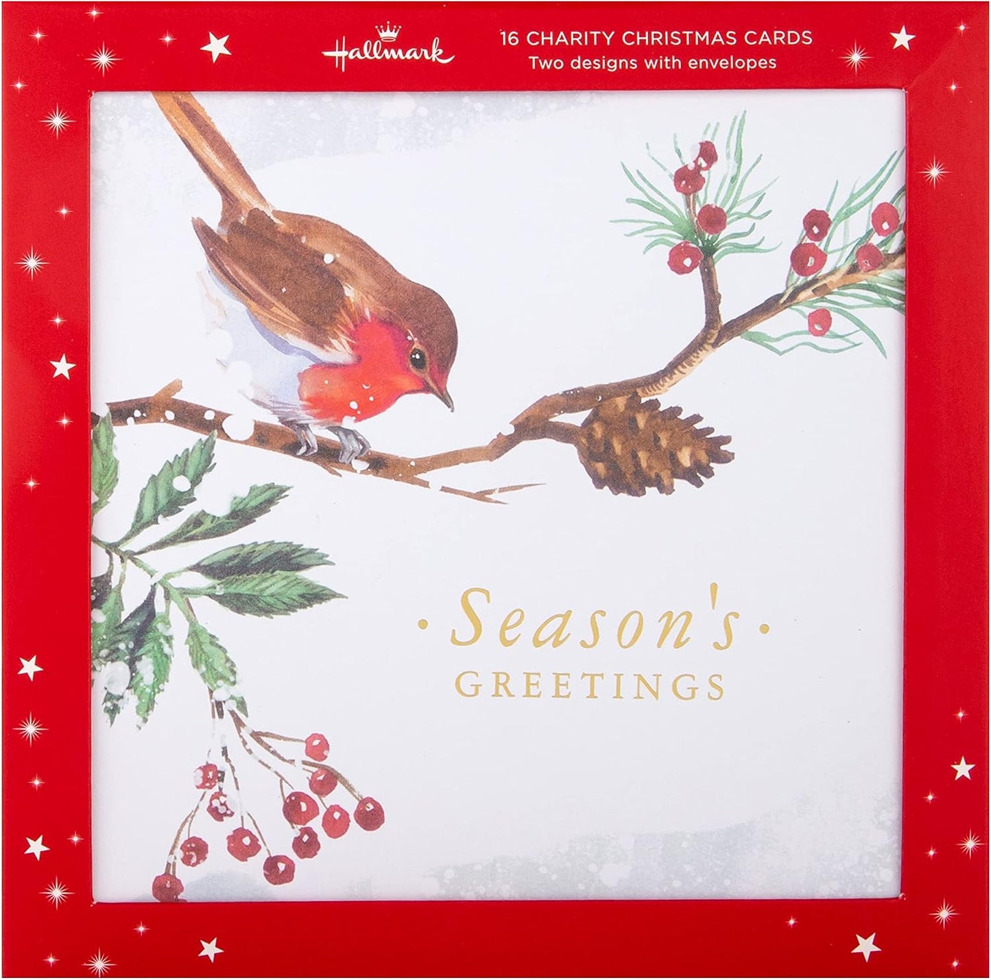 Robin 16 Pack 2 Designs Charity Christmas Cards