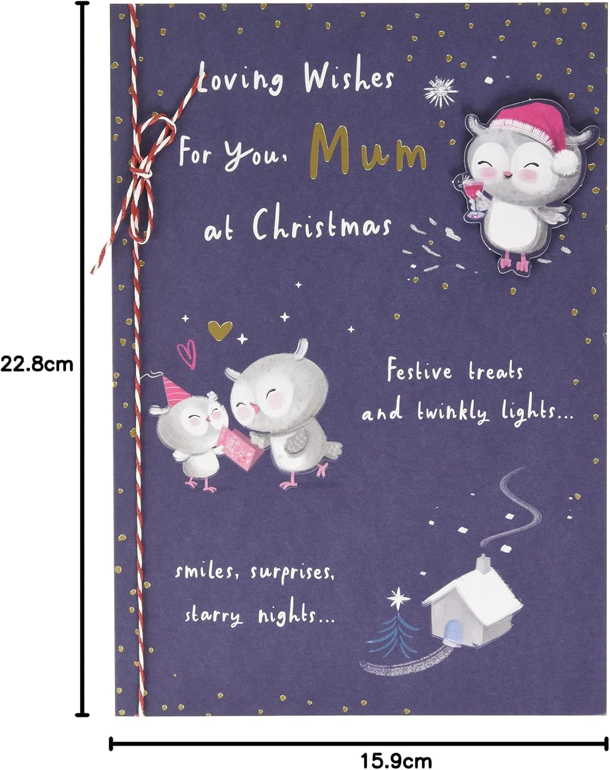 Cute Illustrated Owls Design Mum Christmas Card