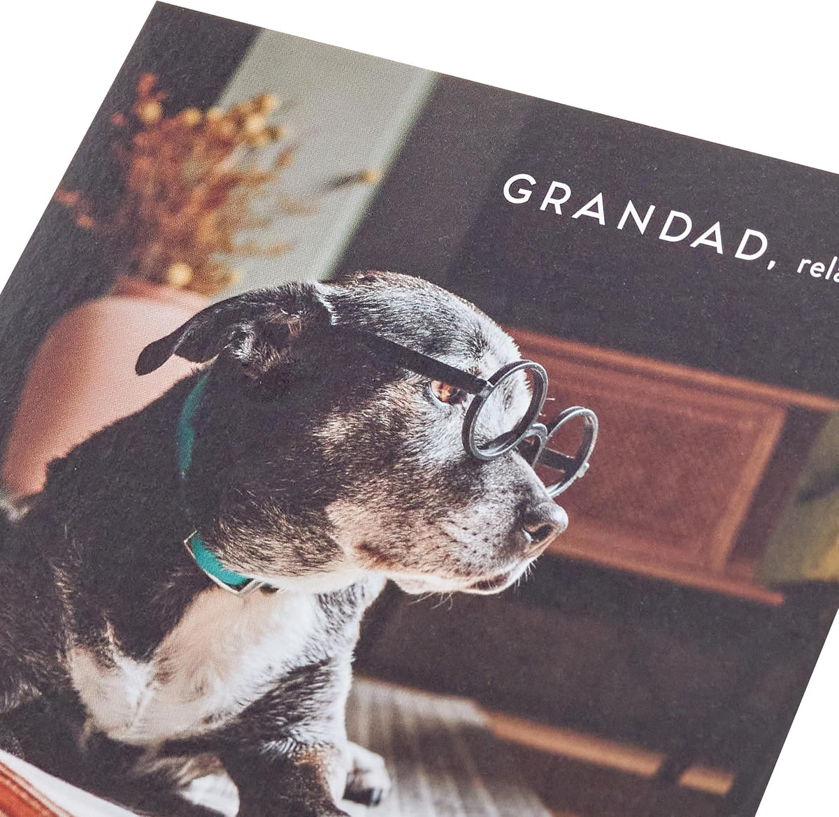 Fun Dog Design Grandad Birthday Card