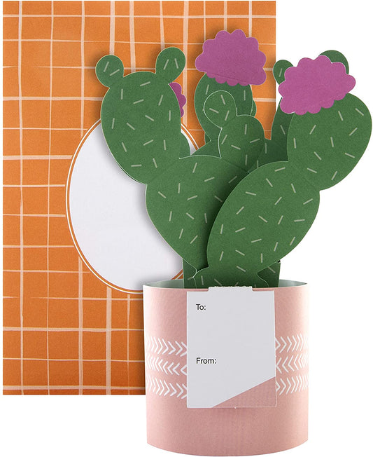 Contemporary Cactus Design Pop Up Card