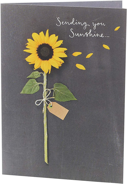 Sending You Sunshine Sunflower Design Greeting Card